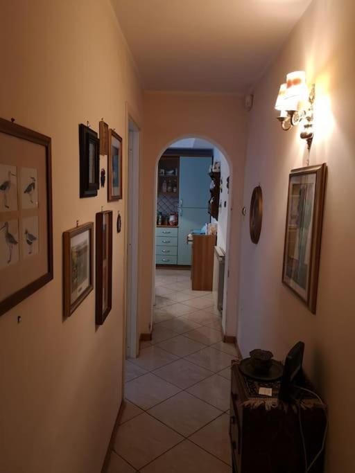 The Trip House - Between The Center And The Sea - Free Wifi And Jacuzzi Катания Экстерьер фото